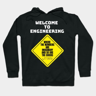 Mathematics and Engineering Hoodie